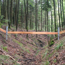 06 Brueckenschlag 002